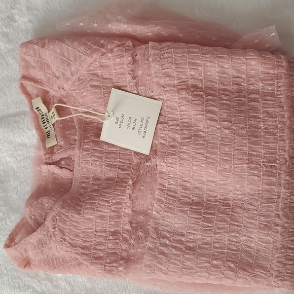 FREE GENERATION Sheer Mesh Blush Free Generation Babydoll/Smocked Top - Picture 8 of 8